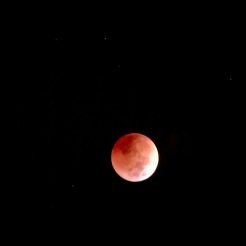 First shot of Blood Moon on Election Day.