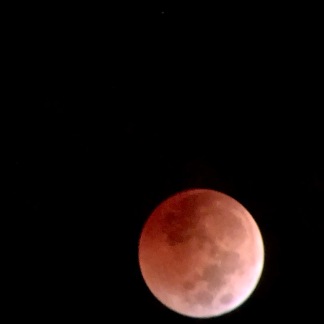 The Total Lunar Eclipse, or Blood Moon rising on Election Day.